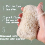 6 Loofah Natural Sponges